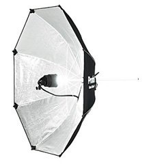 Giant Silver 150 (5') Reflector